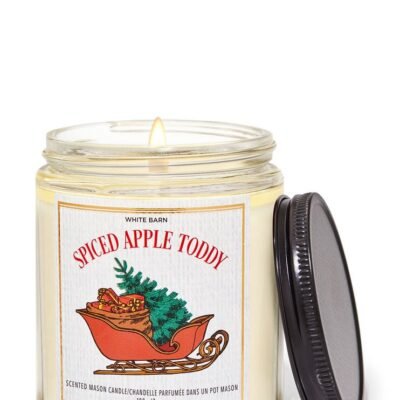 Парфумована свічка на 1 гніт Bath & Body Works Spiced Apple Toddy, 198 г