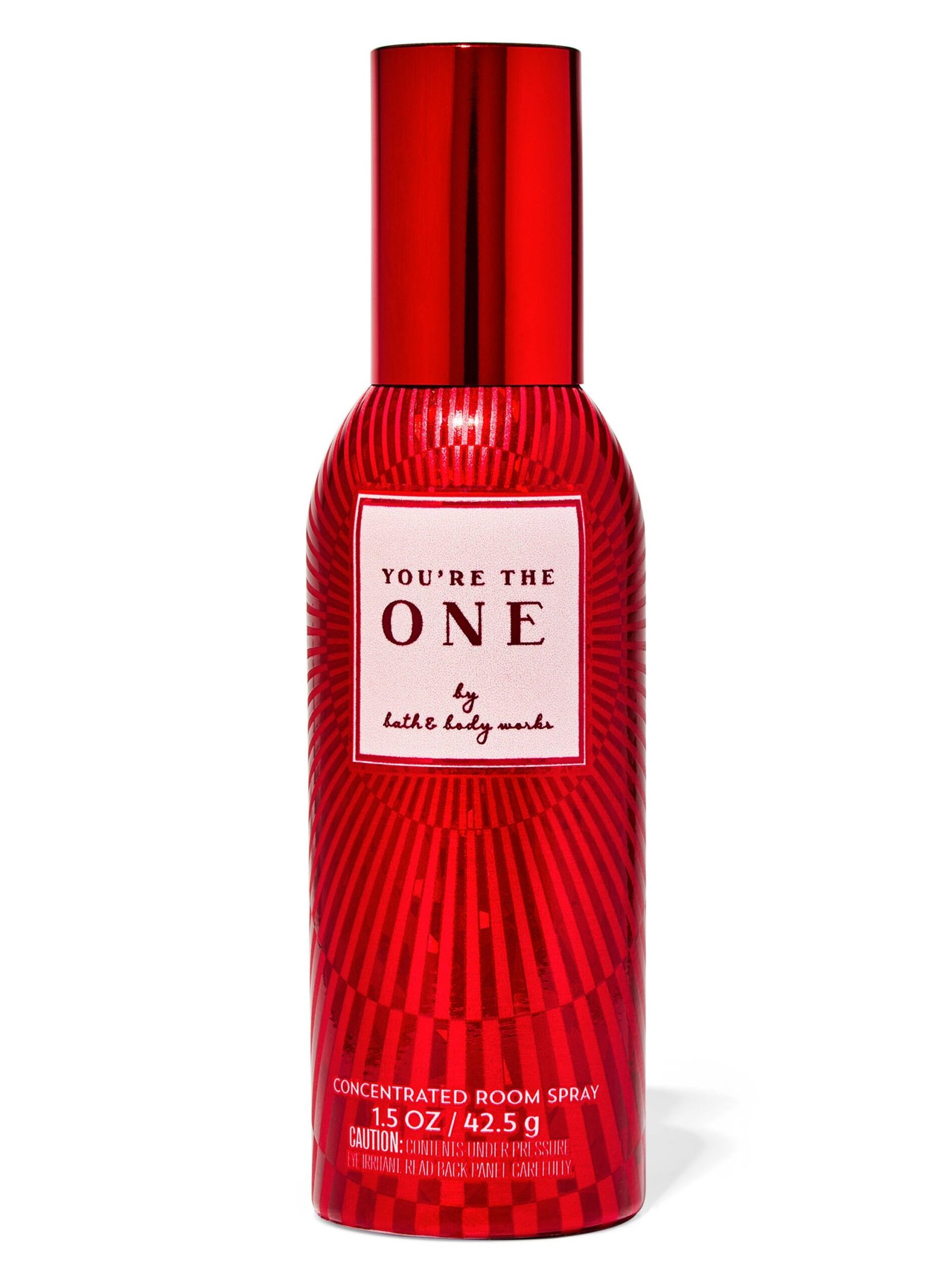 Спрей-парфюм для дому концентрований Bath & Body Works You're The One, 42.5 г