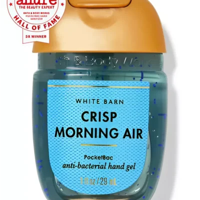 Антисептик (санітайзер) для рук Bath & Body Works Crisp Morning Air, 29 мл
