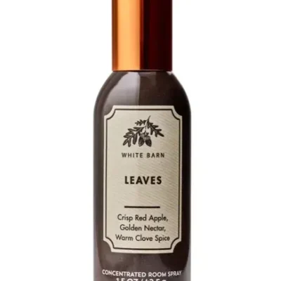 Спрей-парфюм для дому концентрований Bath & Body Works Leaves, 42.5 г