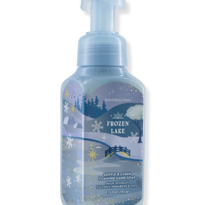 Парфумоване пінне мило для рук Bath & Body Works Frozen Lake, 259 мл