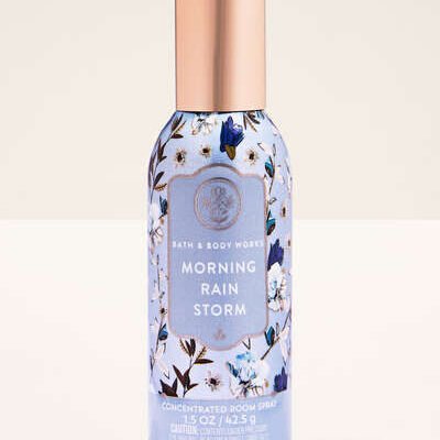 Спрей-парфюм для дому концентрований Bath & Body Works Morning Rainstorm, 42.5 г