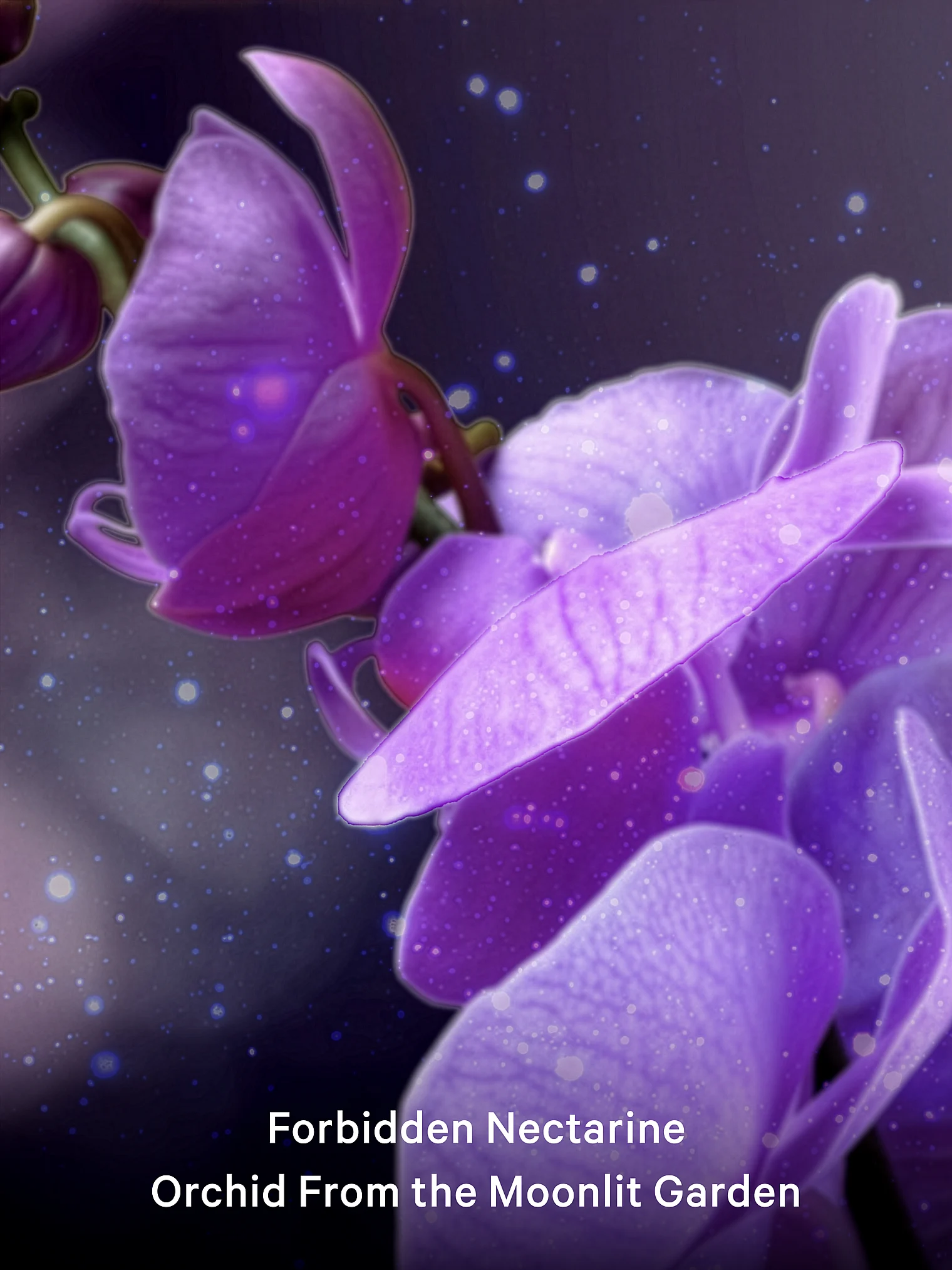Парфумований спрей для тіла Victoria's Secret Elixir Nocturne Shimmer, 250 мл